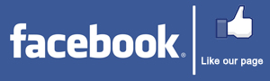 facebook page